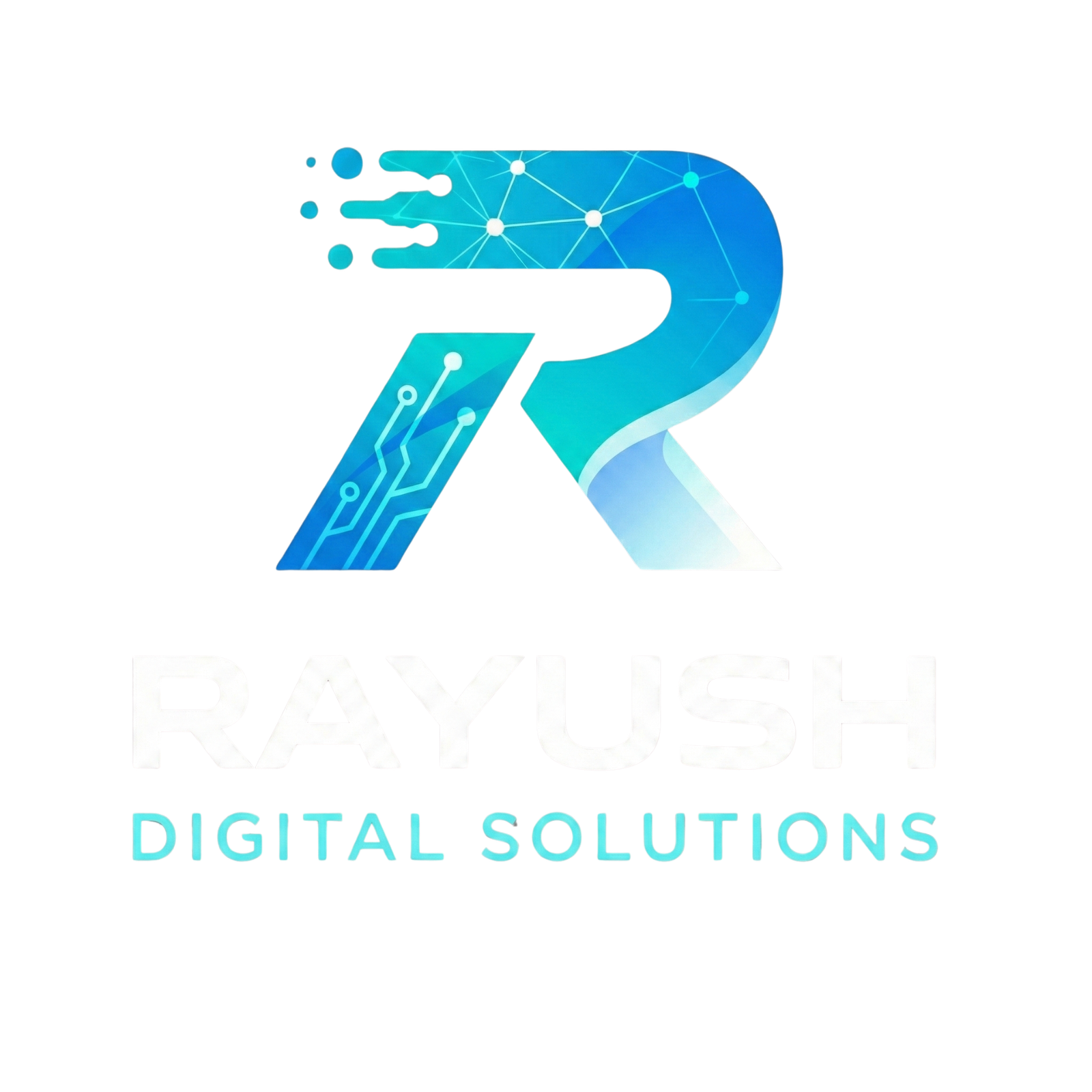 Rayush Digital Solutions